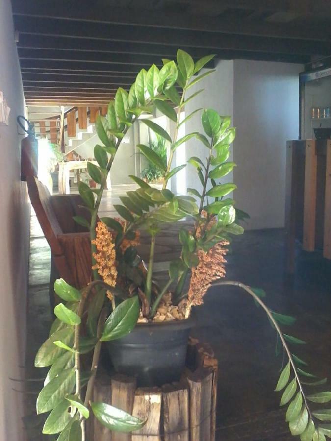 Pirenópolis Pouso D' Braga酒店 外观 照片